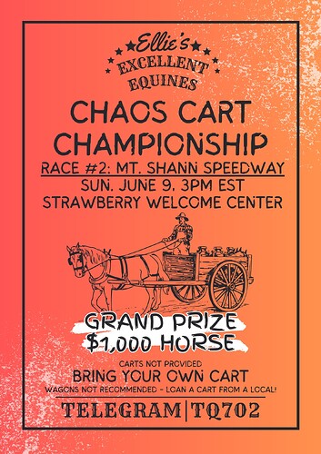 Chaos_Cart_Championship_-_Mt._Shann_Speedway