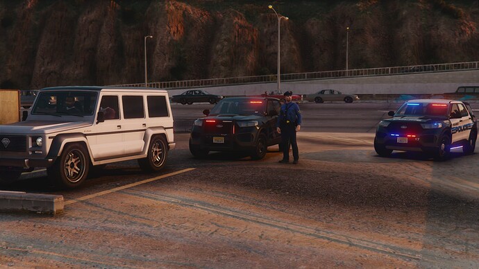 njspxppd traffic stop beach