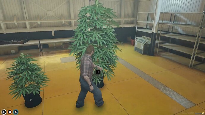 Advanced Weed Script - Dynamic Growth & Selling System | Aty Scripts thumbnail 4