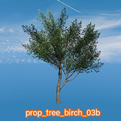 prop_tree_birch_03b
