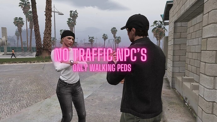 NO TRAFFIC NPC’S (1)