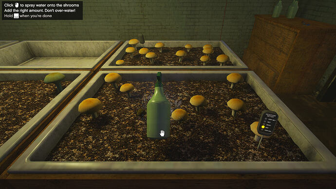 Watering the shrooms