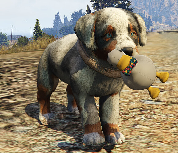 Puppy