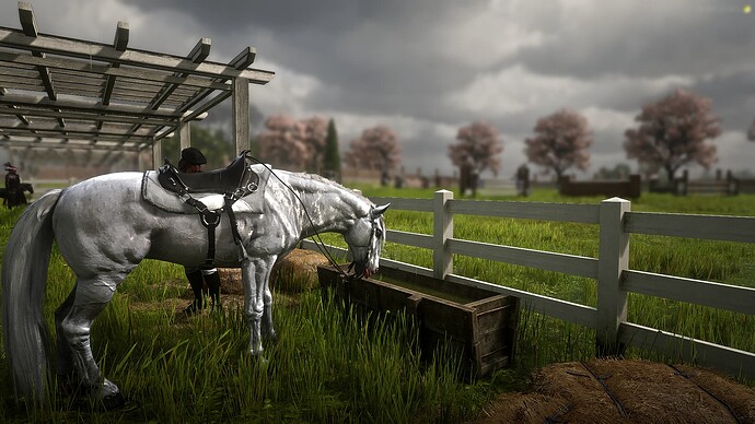 RedM_GTAProcess 2025-05-09 21-34-58_062