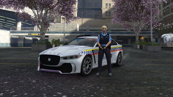 New Police Cars