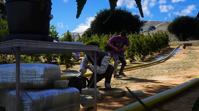 Island Weed Field thumbnail 4