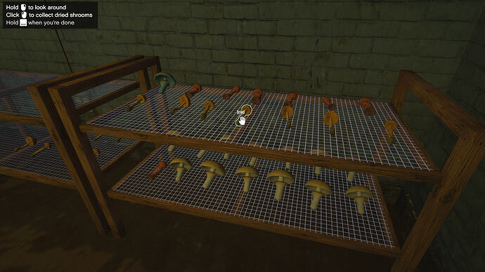 Drying the shrooms