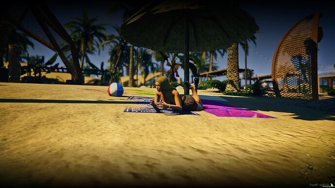 FiveM_GTAProcess 2026-03-01 17-29-01_012 After