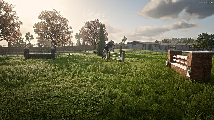 RedM_GTAProcess 2025-05-09 21-24-54_278