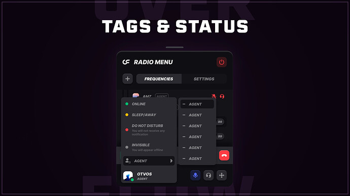 Overflow Radio - Custom Tag System