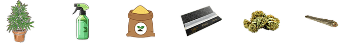 items2