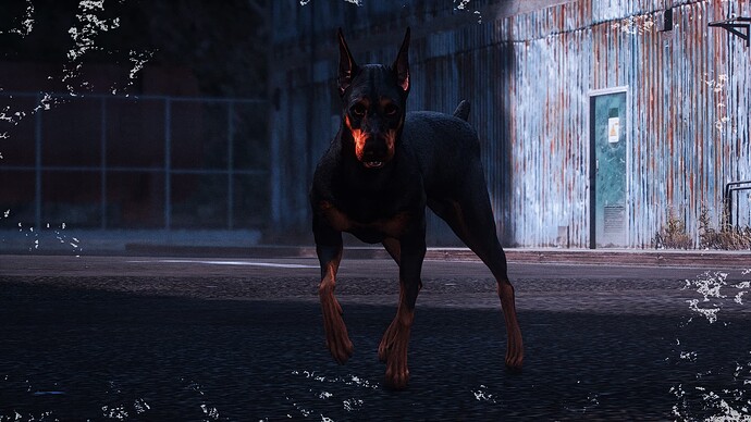 [Ped] Doberman thumbnail 2