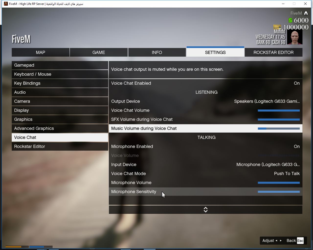 Can T Hear People In Fivem Fivem Client Support Cfx Re Community Can T Hear People In Fivem Fivem Client Support Cfx Re Community