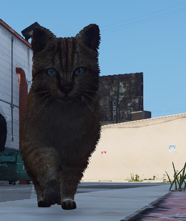 [PAID][QB] nrp-straycat Thumbnail