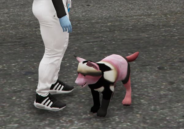 c47082ca4dfa9433d9724862b340d86c