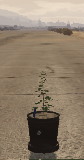 [PAID][QBCore]Kamkus weedplanting | Plant weed from everywhere thumbnail 2