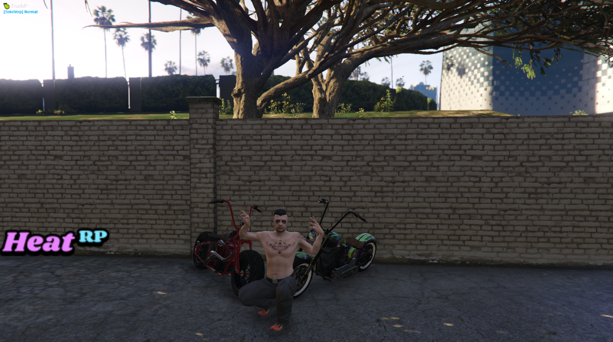 [US/CANADA] HEATRP 17+ Alpha Launch | Serious Fun RP | Custom Framework ...