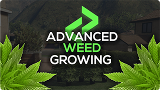 weed_growing_fivem