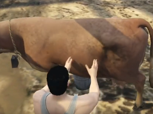 animalhusb