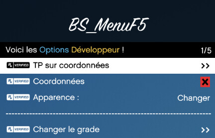  [PAID] BS_MenuF5 (Personal Menu | Administration Menu | Inventory UI) thumbnail 44