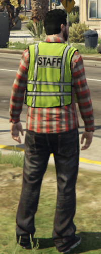 Staff High-Vis Vest/Staff EUP Traffic Vest [FREE] - FiveM Releases ...