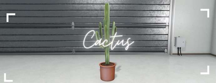 Paid | Addon | Country living thumbnail 4