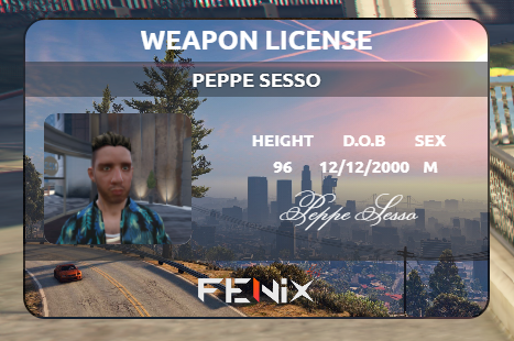 [PAID] FNX-IDCARD individual documents system, fake documents thumbnail 5
