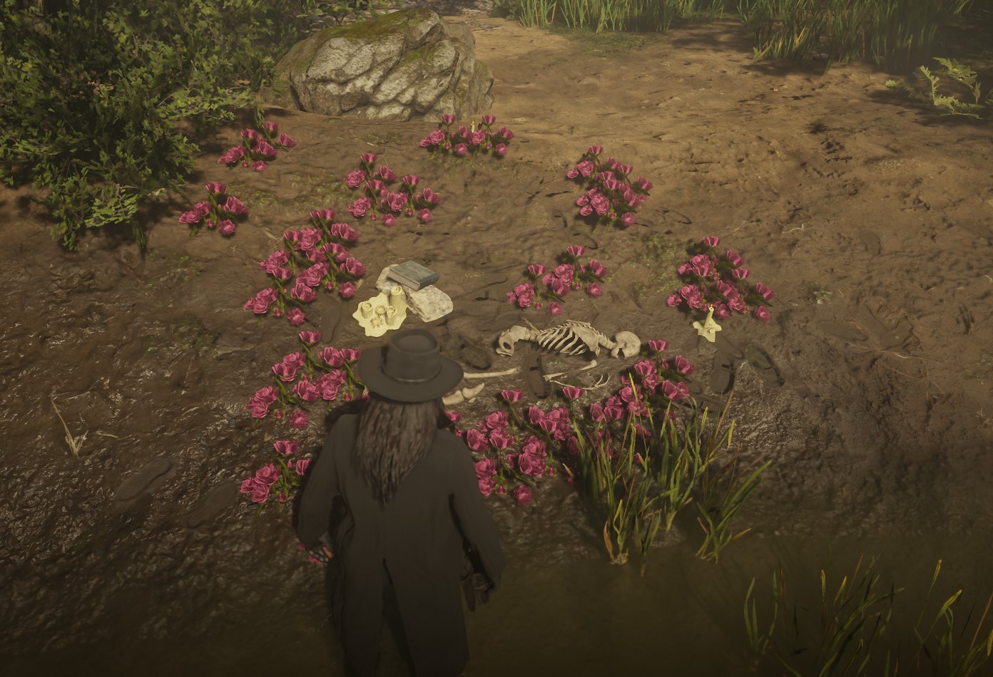 Where The Wild Roses Grow - Rp set - RedM Releases - Cfx Forum