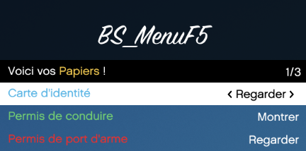  [PAID] BS_MenuF5 (Personal Menu | Administration Menu | Inventory UI) thumbnail 12