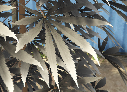 [PROP][PAID] Shuffler's CLASSIC Colorful Weed Plants! thumbnail 6