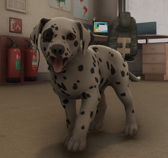 dalmatian