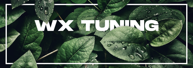 [RELEASE] [PAID] [OX+ESX] WX Tuning - Advanced mechanic job powered by ox_lib Thumbnail