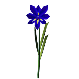 idrp_iris_solo