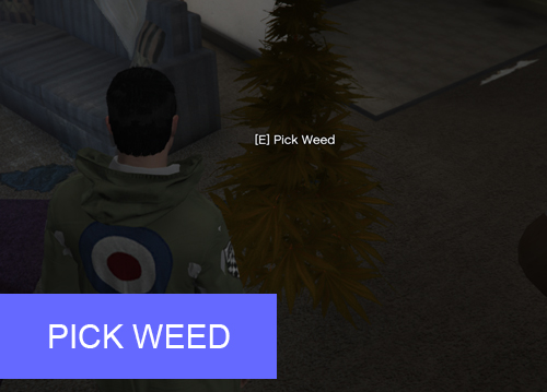 WEED