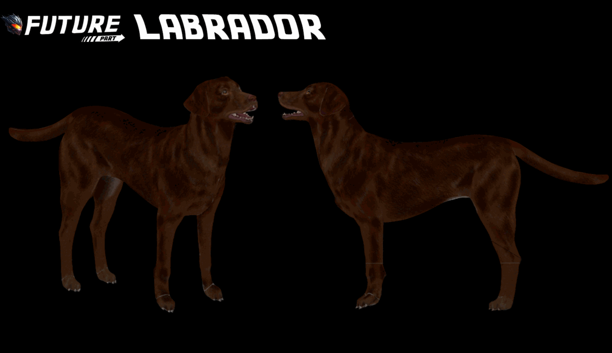 [PAID] FUTURE Labrador [PED] [DOGS] [PETS] Thumbnail