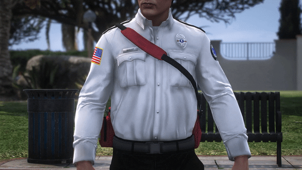 [PAID] EMT Trauma Bag thumbnail 2