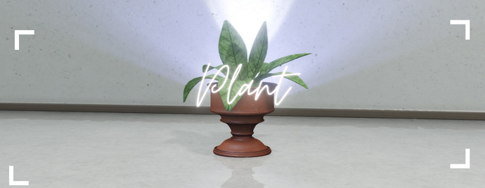 Paid | Addon | Country living thumbnail 13