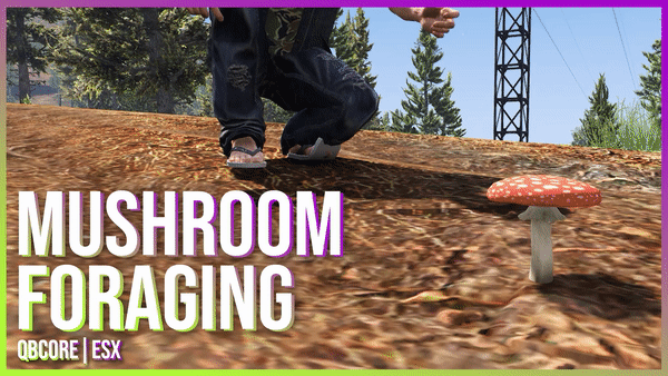Mushroom Foraging [ESX + QBCore] Thumbnail