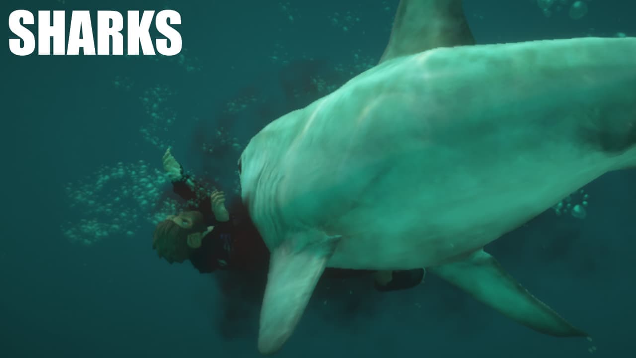 [ESX][QB] Sharks Thumbnail