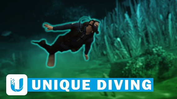 Unique Diving & Treasure Hunting 🐠 [ PAID - RELEASE - ESX ] Thumbnail