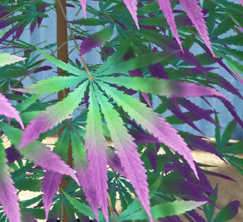 [PROP][PAID] Shuffler's CLASSIC Colorful Weed Plants! thumbnail 5