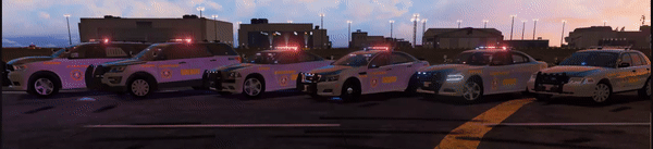 FLEET