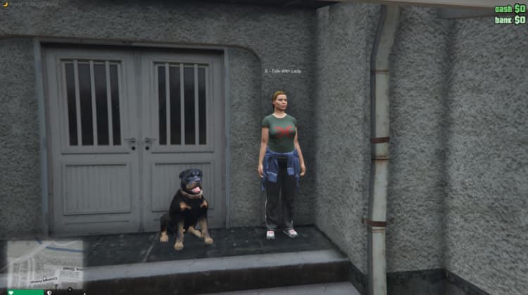 CodeM-Dogsitterjob Thumbnail