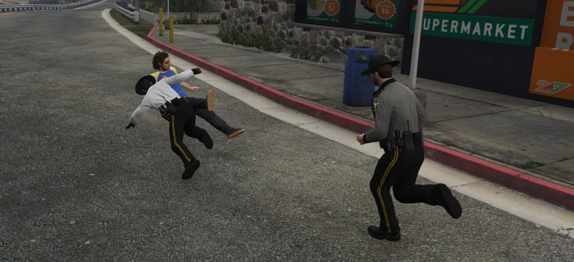 [Serve & Protect Roleplay] ACCEPTING APPLICATIONS! - Server Bazaar ...