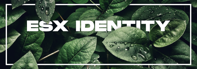 IDENTITY BANNER