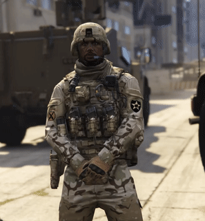 [PAID] U.S. Army Pack thumbnail 2