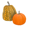 skrill_pumpkin