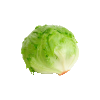 ck_lettuce