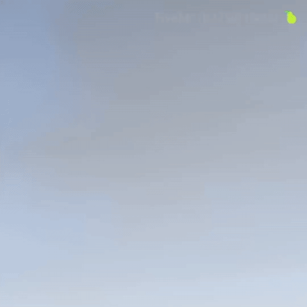 ezgif-740afa28deffe7