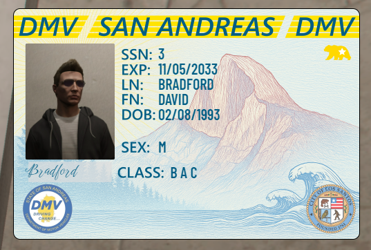 [ESX] mdm_documents, id card and much more thumbnail 3